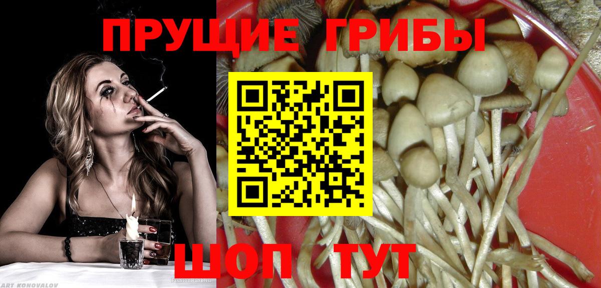 Псилоцибиновые грибы мицелий Лабытнанги